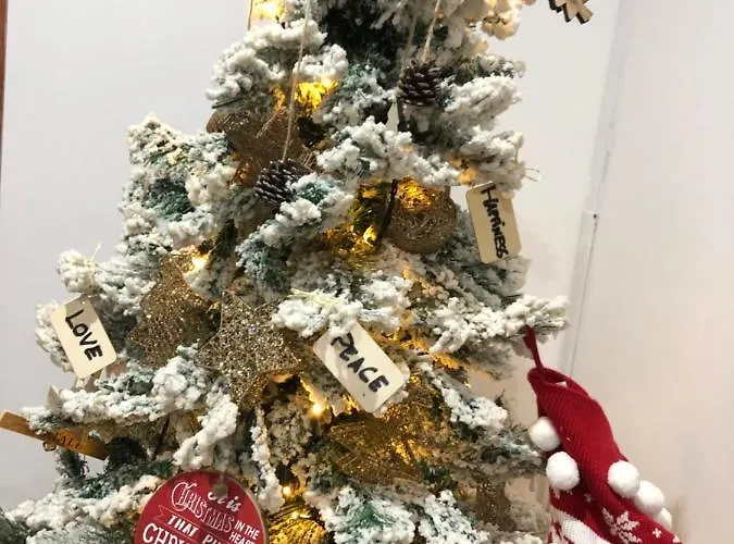 Central Station Deluxe *